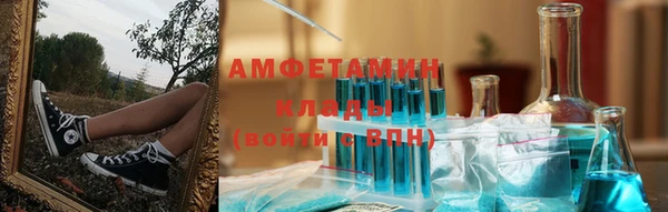 крисы Козельск