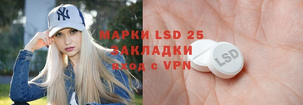 крисы Козельск
