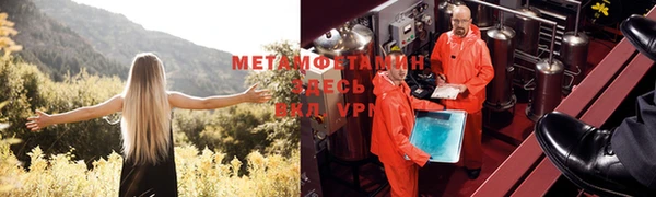 PSILOCYBIN Кинешма