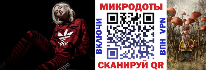 купить наркотик  Кингисепп  Псилоцибиновые грибы Psilocybe 